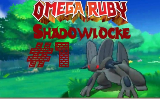 pokemon omega ruby extreme randomizer